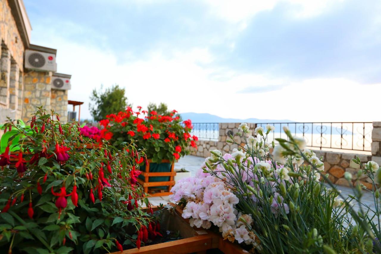 Vila Dena Vlorë Екстериор снимка