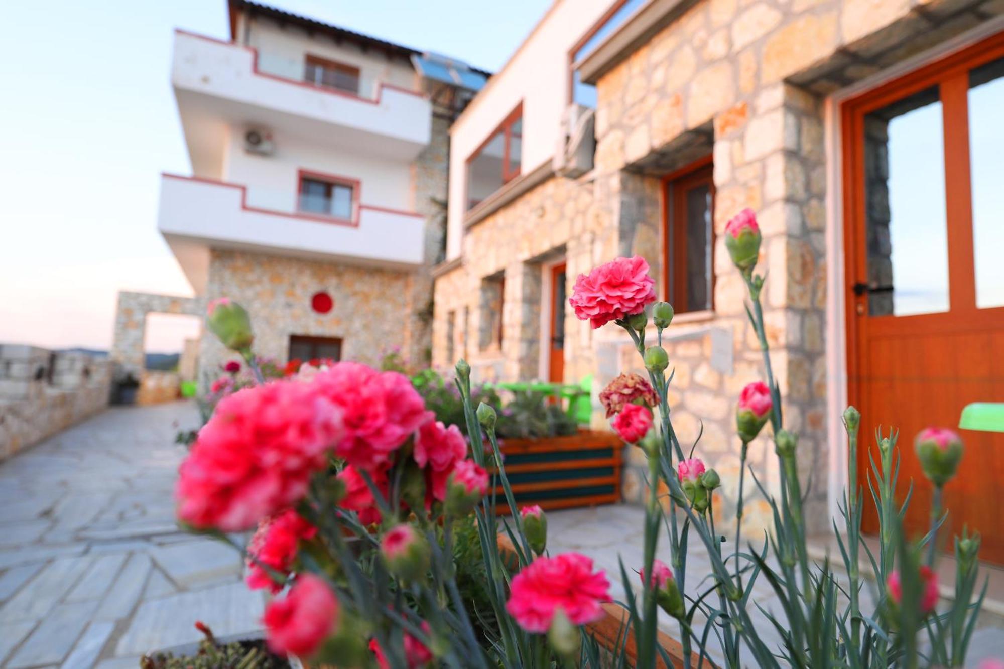 Vila Dena Vlorë Екстериор снимка